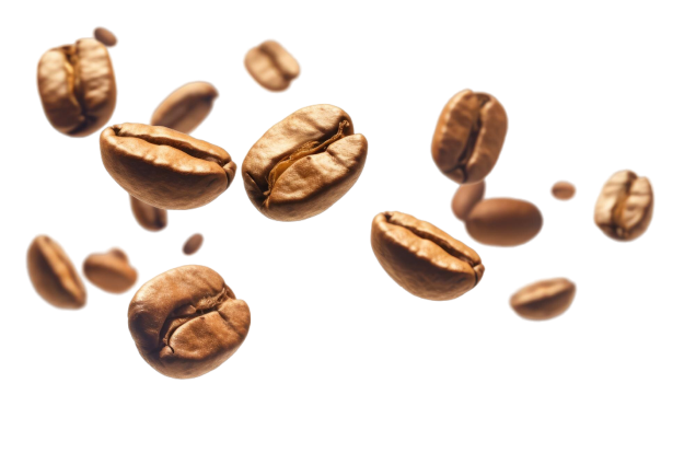 coffee beans