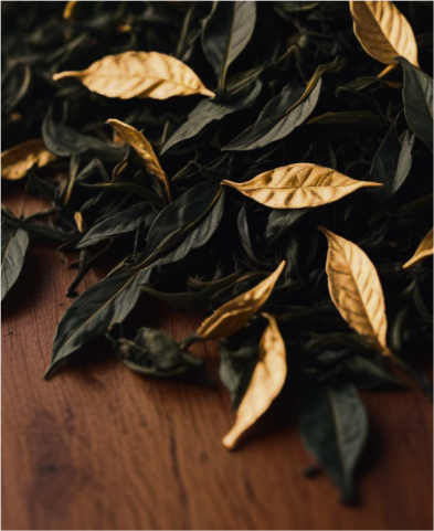 tea-leaves